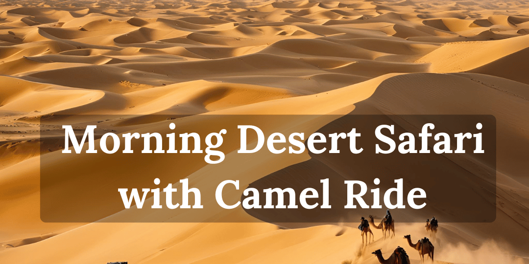 morning desert safari dubai with camel ride