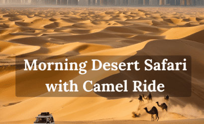 morning desert safari dubai with camel ride