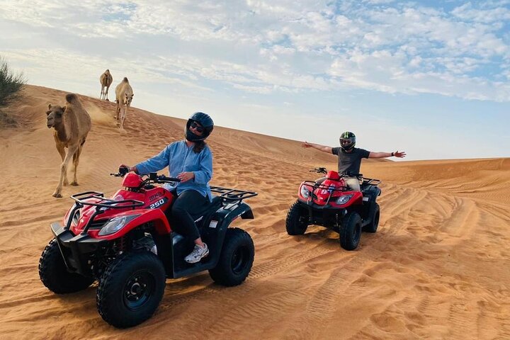 Quade Bike and Sand Bording,camel riding