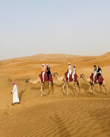 Camel Tracking