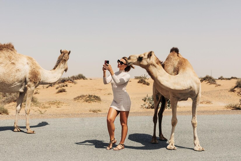 happy-beautiful-girl-smiling-takes-selfie-with-camel-by-road-during-trip-desert.jpg