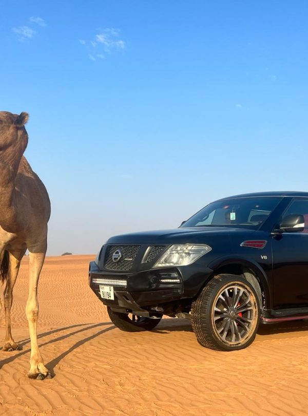 Camel Riding with Holiday Desert Torusim