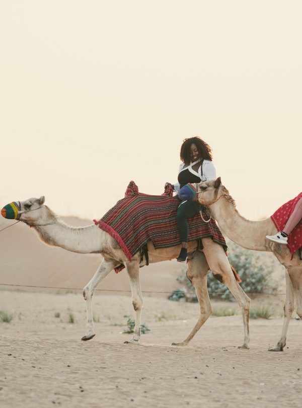 camel ride dubai safari