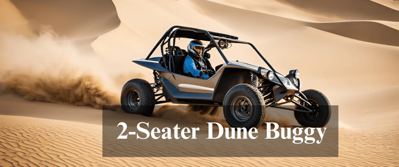 2 seater dune buggy 4