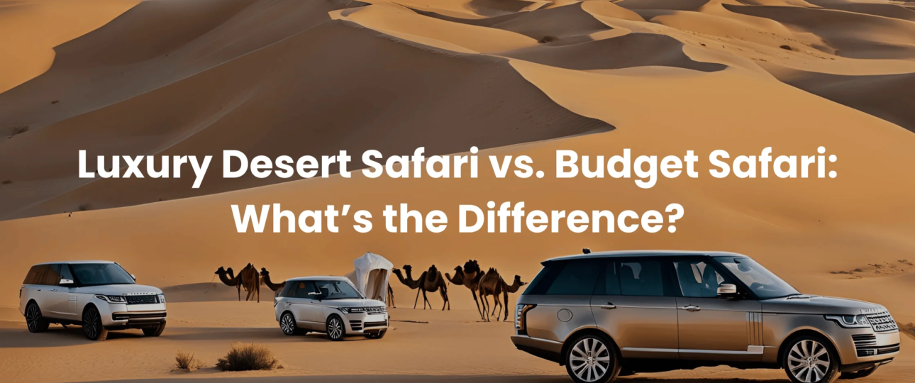 Luxury Desert Safari vs Budget Safari