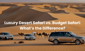 Luxury Desert Safari vs Budget Safari